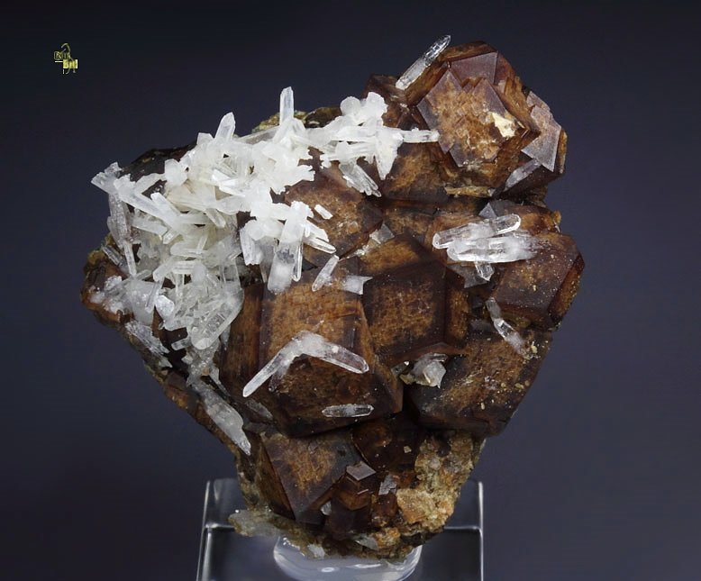 GARNET var. ANDRADITE, HEDENBERGITE, QUARTZ