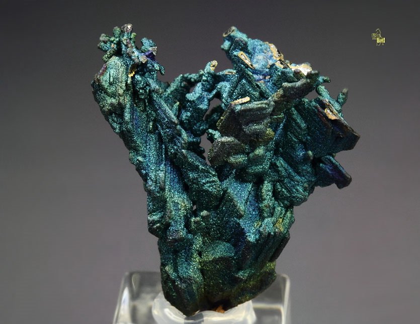 CHALCOCITE, DJURLEITE, iridescent CHALCOPYRITE