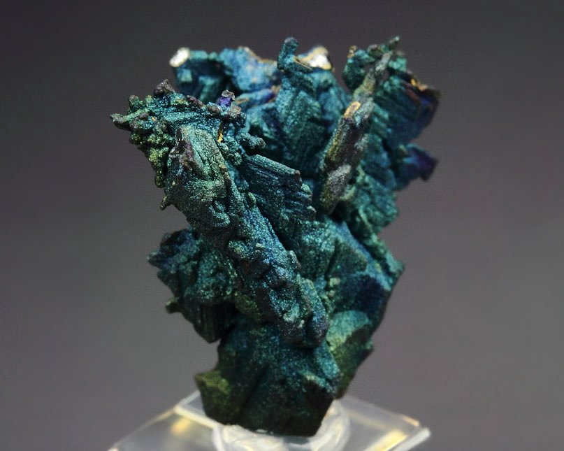 CHALCOCITE, DJURLEITE, iridescent CHALCOPYRITE