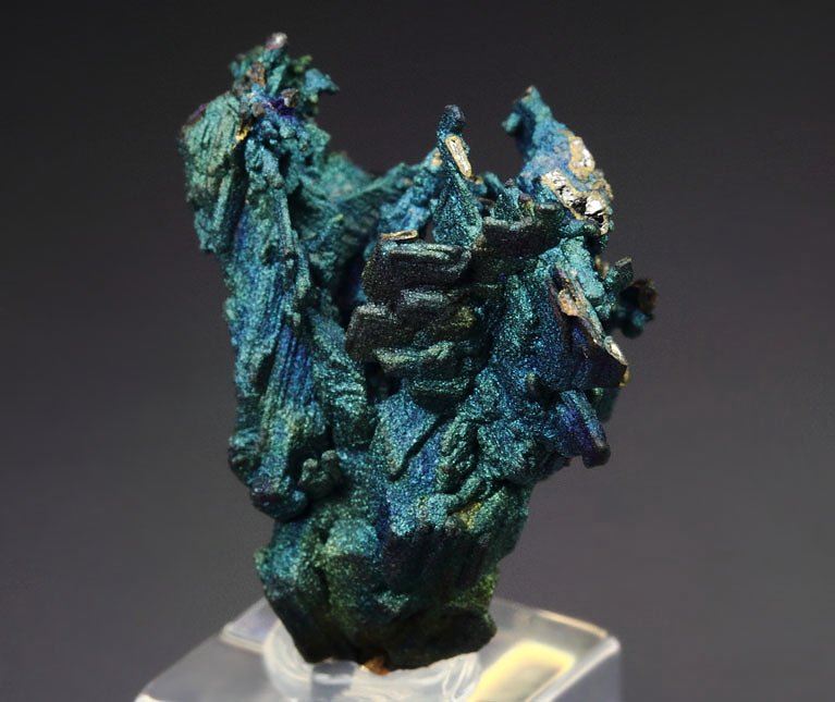 CHALCOCITE, DJURLEITE, iridescent CHALCOPYRITE