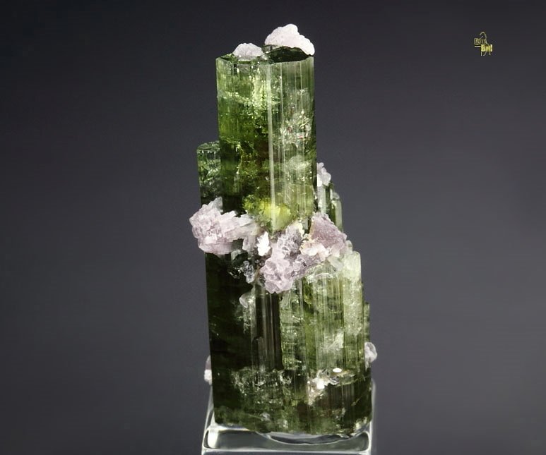 gem TOURMALINE var. ELBAITE, LEPIDOLITE