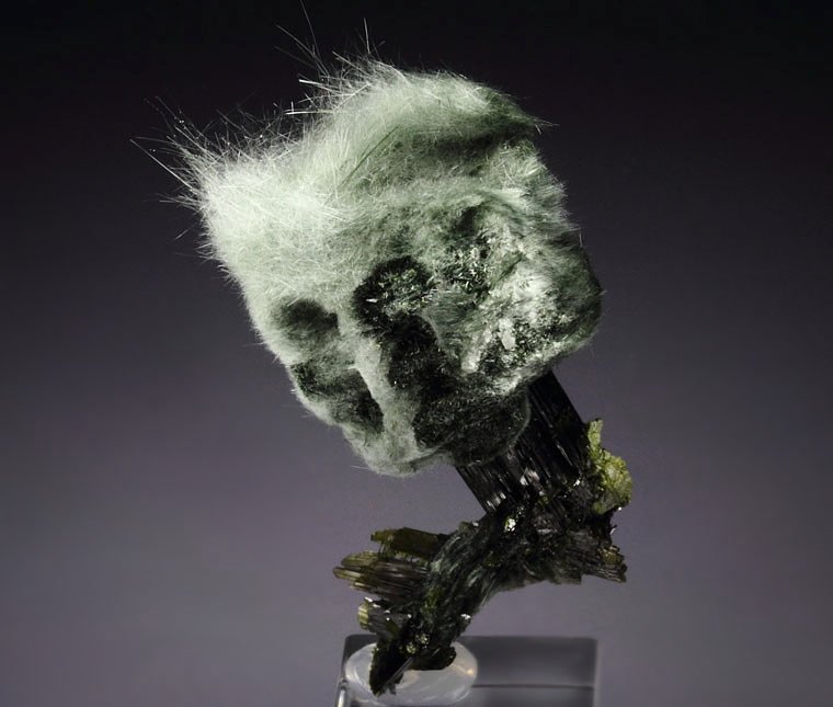 AMPHIBOLE GROUP var. BYSSOLITE, EPIDOTE