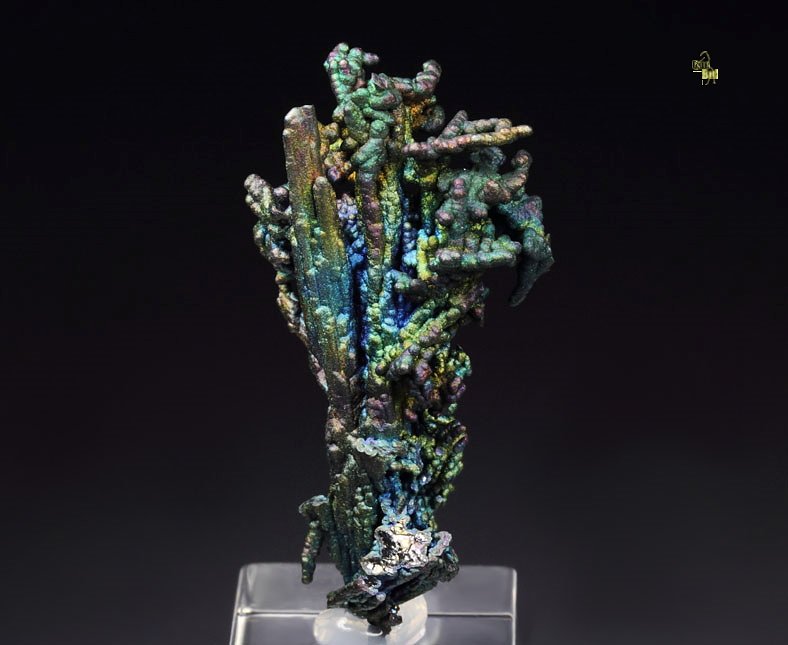 CHALCOCITE, DJURLEITE, iridescent CHALCOPYRITE