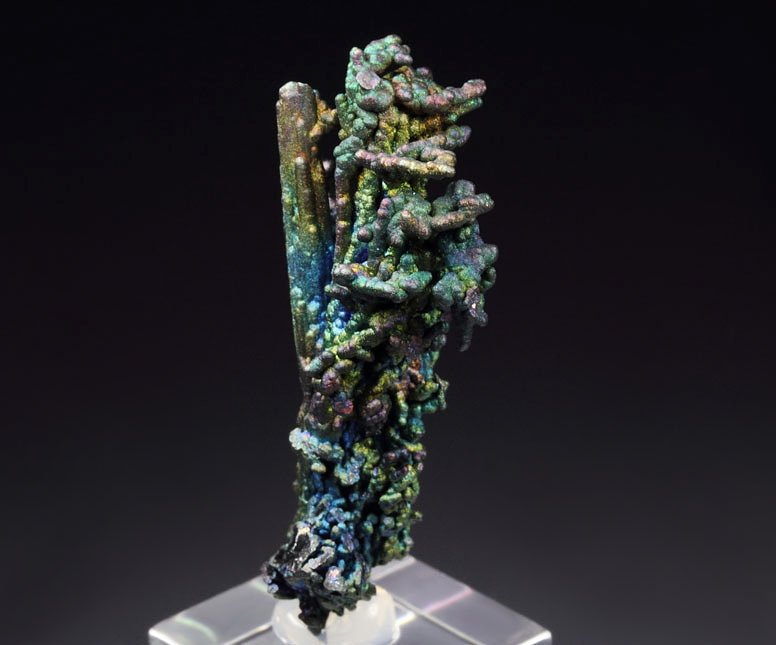 CHALCOCITE, DJURLEITE, iridescent CHALCOPYRITE