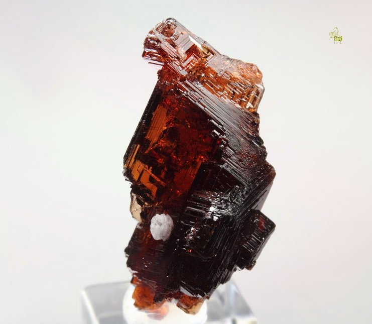 gem GARNET var. SPESSARTINE skeletal 