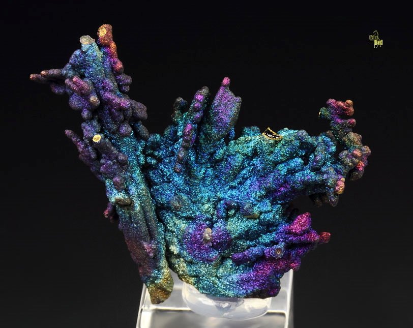 CHALCOCITE, DJURLEITE, iridescent CHALCOPYRITE