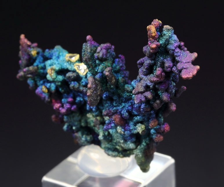 CHALCOCITE, DJURLEITE, iridescent CHALCOPYRITE