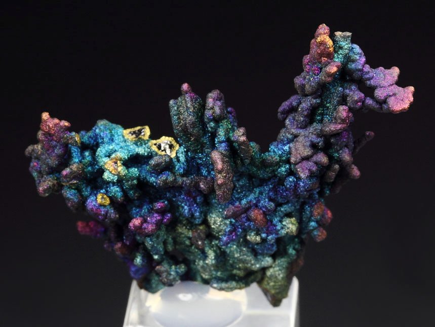 CHALCOCITE, DJURLEITE, iridescent CHALCOPYRITE