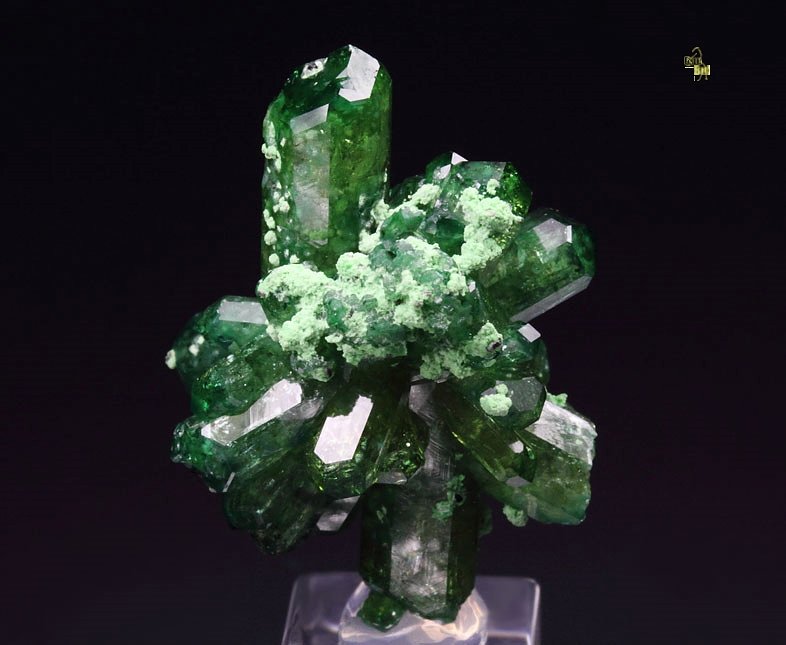 gem VESUVIANITE var. CHROMIAN bi-terminated, DIOPSIDE