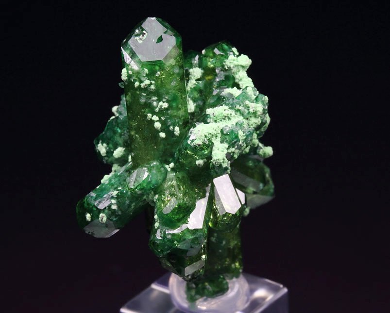 gem VESUVIANITE var. CHROMIAN bi-terminated, DIOPSIDE