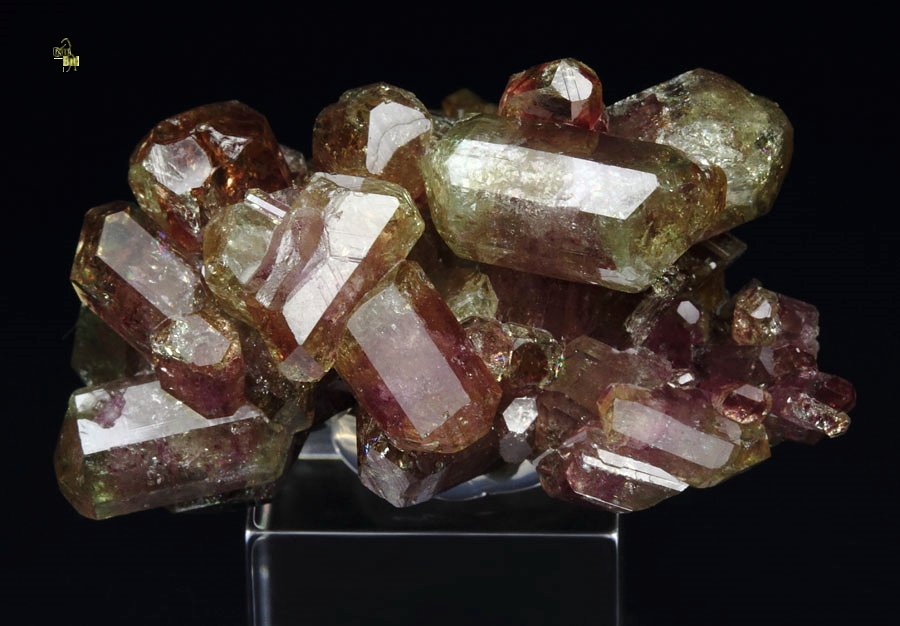 gem bi-terminated VESUVIANITE bi-color