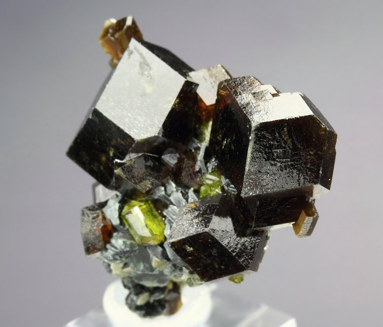 gemmy GARNET var. ANDRADITE, gem EPIDOTE