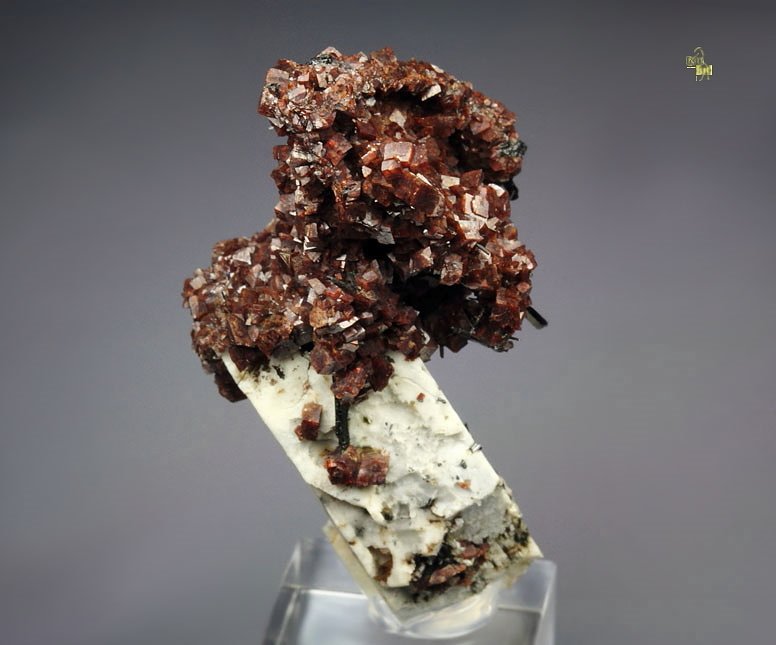 RHODOCHROSITE, AEGIRINE, MICROCLINE