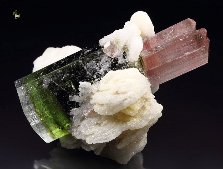 gem bi-terminated TOURMALINE var. ELBAITE multicolor, ALBITE 