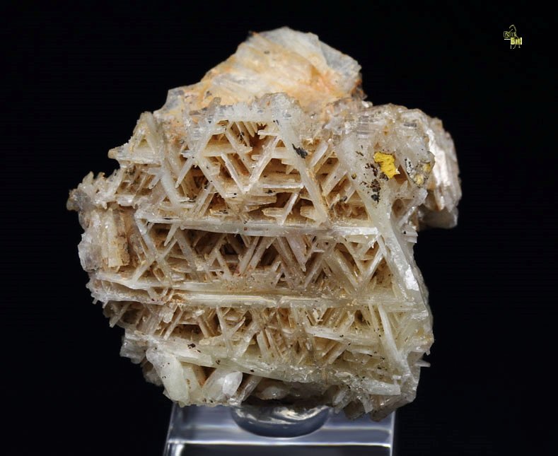 reticulated CERUSSITE