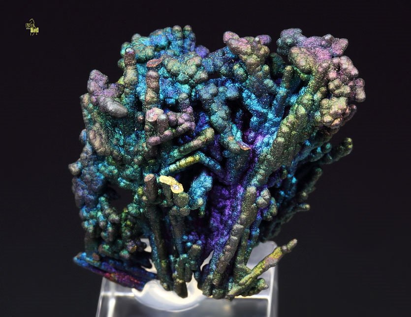 CHALCOCITE, DJURLEITE, iridescent CHALCOPYRITE