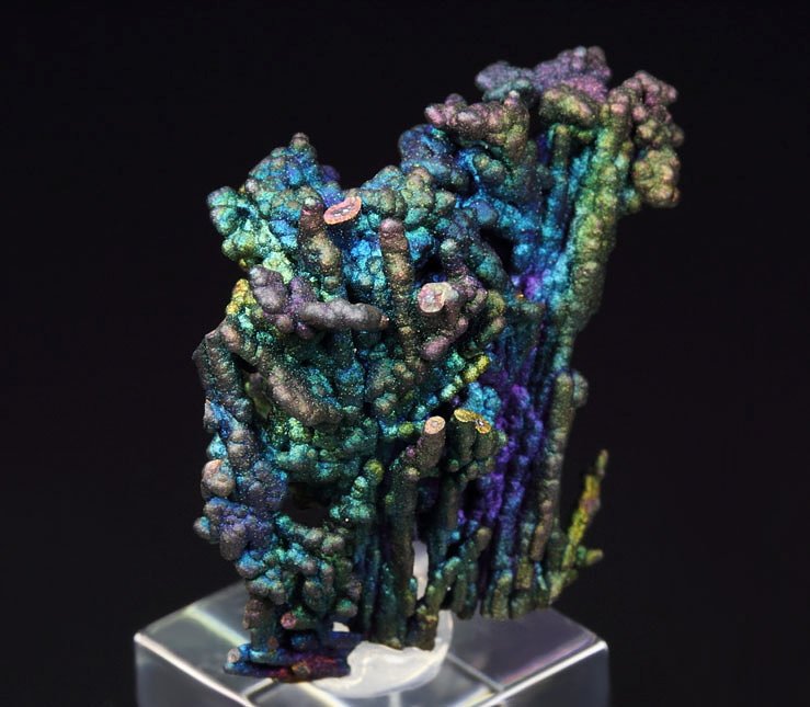 CHALCOCITE, DJURLEITE, iridescent CHALCOPYRITE