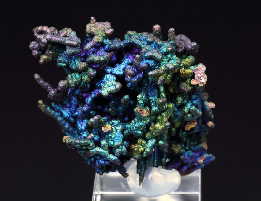 CHALCOCITE, DJURLEITE, iridescent CHALCOPYRITE