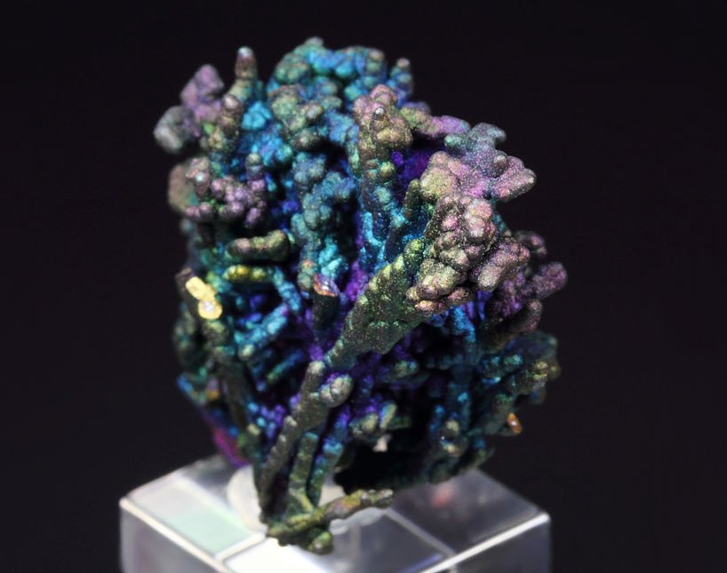 CHALCOCITE, DJURLEITE, iridescent CHALCOPYRITE