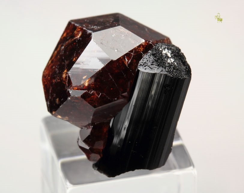 gemmy GARNET var. SPESSARTINE, TOURMALINE var. SCHORL