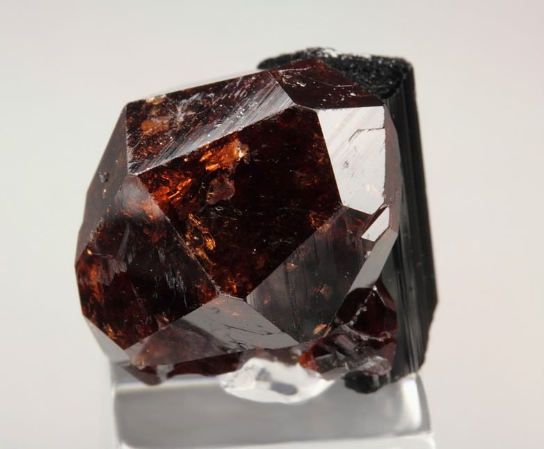 gemmy GARNET var. SPESSARTINE, TOURMALINE var. SCHORL