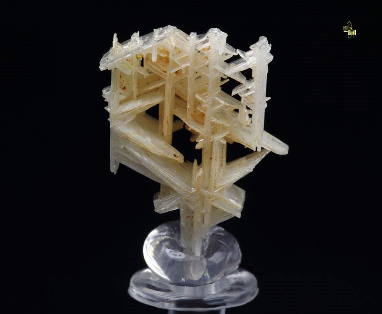 reticulated CERUSSITE