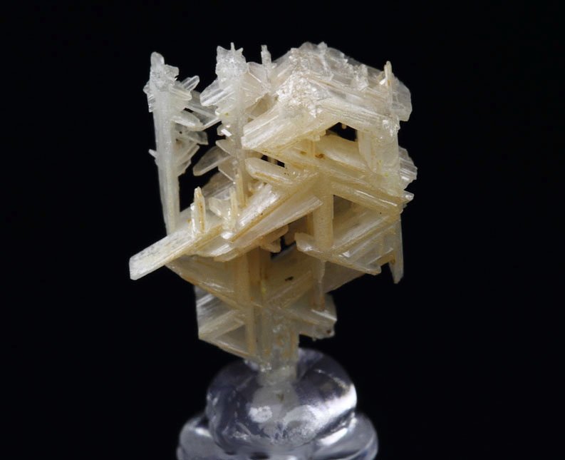 reticulated CERUSSITE