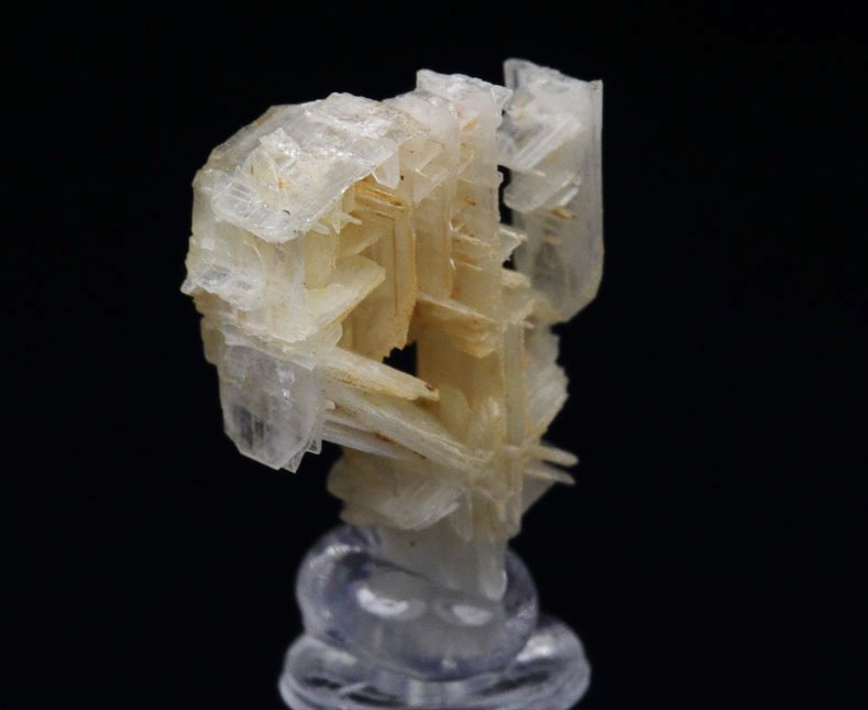 reticulated CERUSSITE