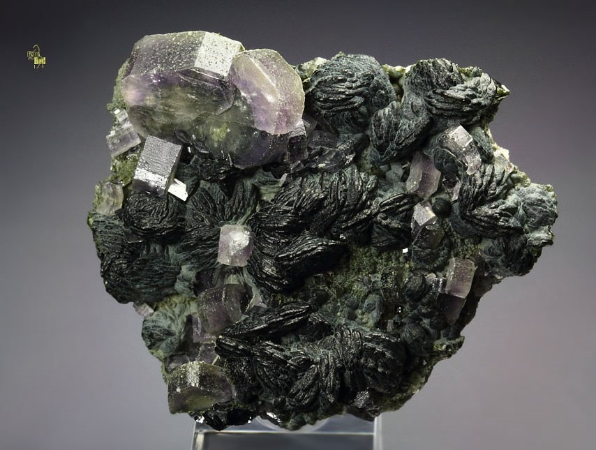 gemmy purple FLUORAPATITE, CLINOCHLORE