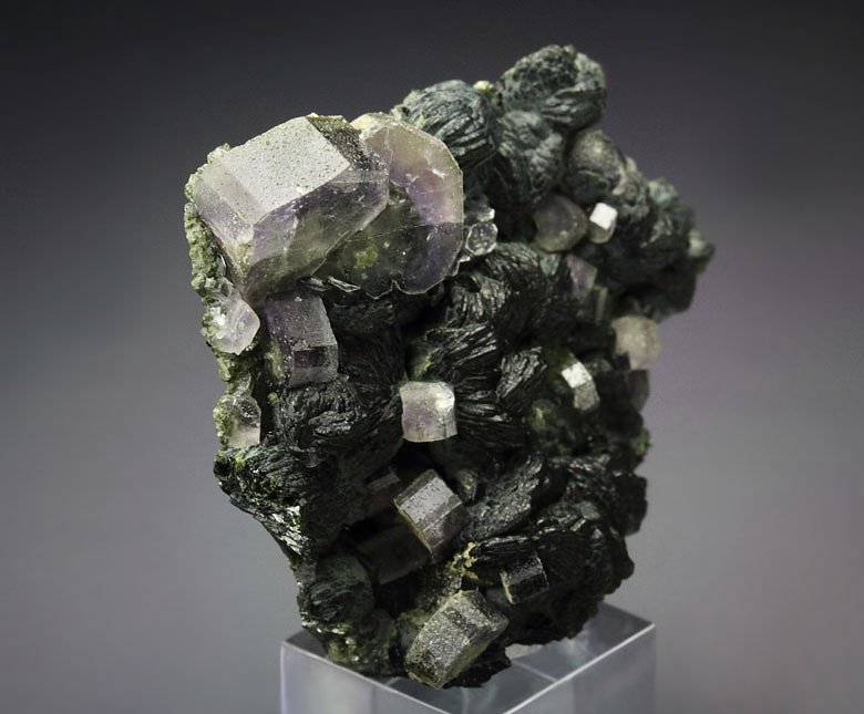 gemmy purple FLUORAPATITE, CLINOCHLORE