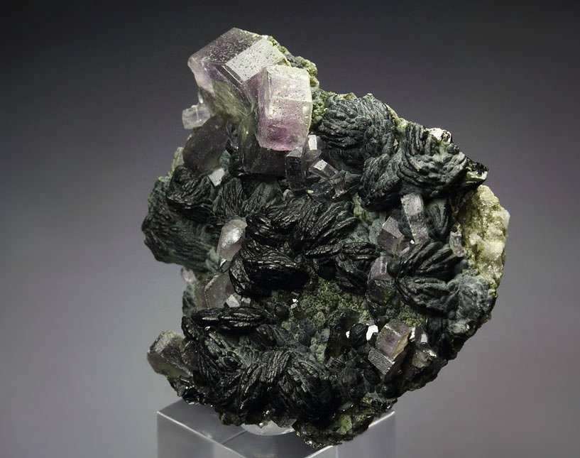 gemmy purple FLUORAPATITE, CLINOCHLORE