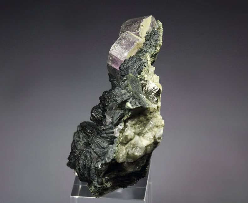 gemmy purple FLUORAPATITE, CLINOCHLORE