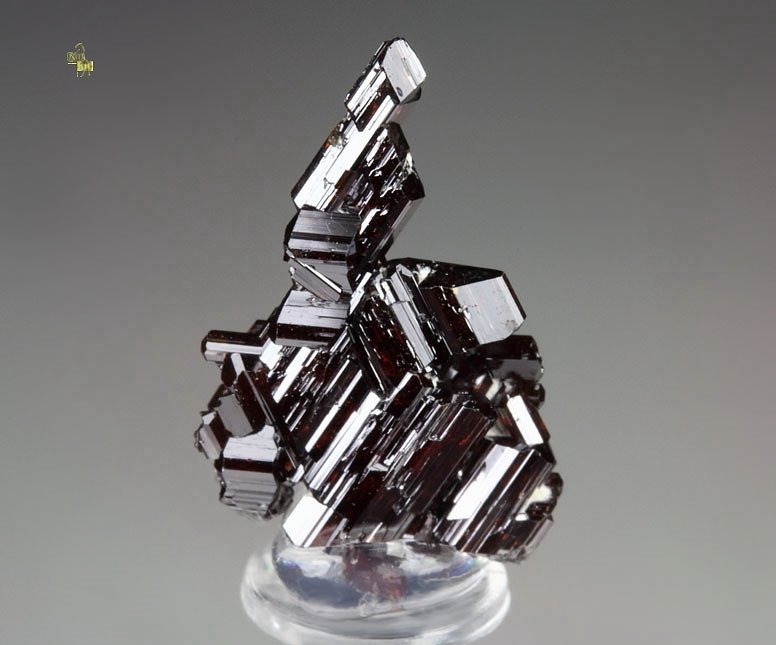 twinned RUTILE