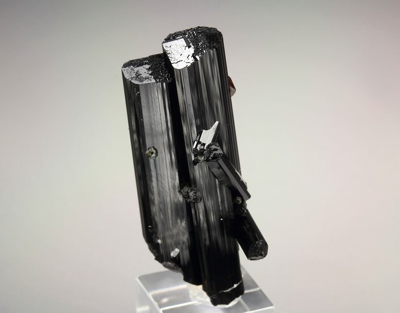 gem GARNET var. SPESSARTINE, TOURMALINE var. SCHORL