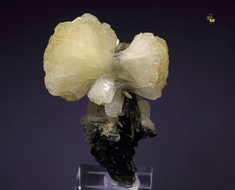 STILBITE-STELLERITE series bow tie, EPIDOTE