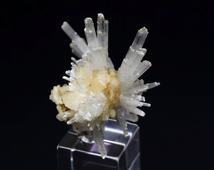 PECTOLITE floater