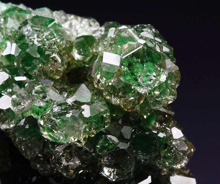 gem GARNET var. GROSSULAR with GREEN CHROMIAN PHANTOMS, CLINOCHLORE