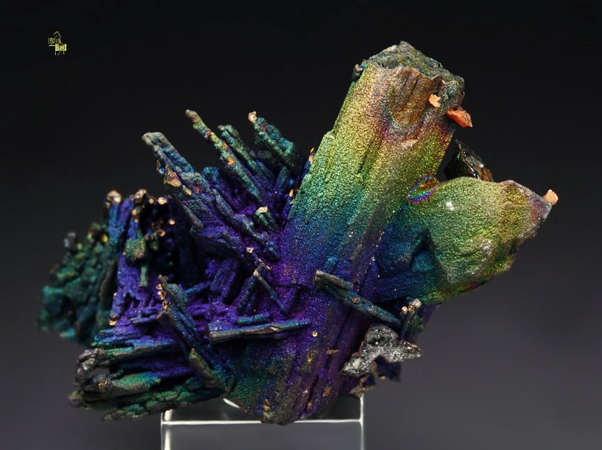 CHALCOCITE, DJURLEITE, iridescent CHALCOPYRITE