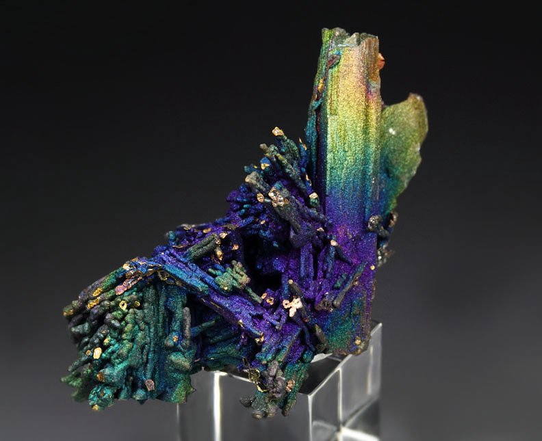 CHALCOCITE, DJURLEITE, iridescent CHALCOPYRITE