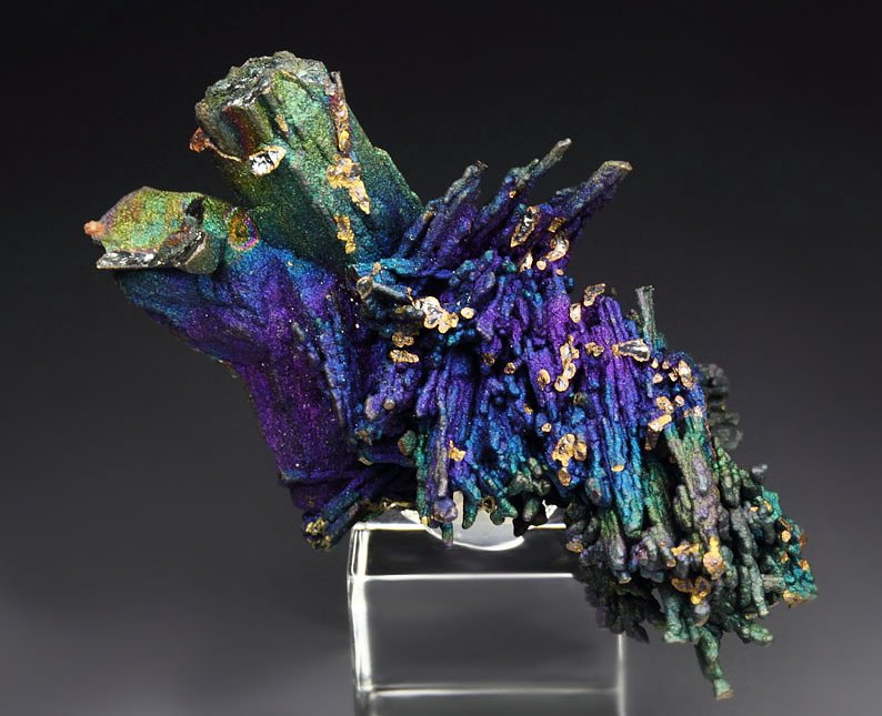 CHALCOCITE, DJURLEITE, iridescent CHALCOPYRITE