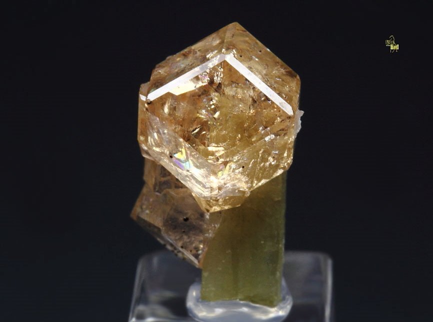 gem GARNET var. GROSSULAR, DIOPSIDE