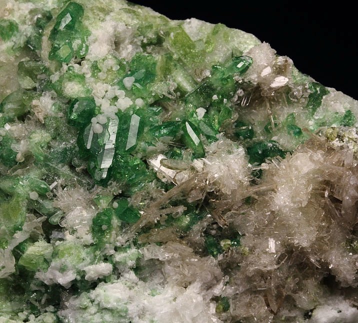 gem VESUVIANITE var. CHROMIAN, DIOPSIDE