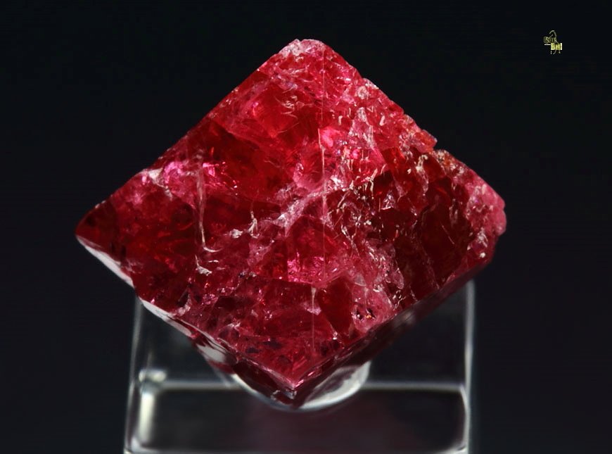 gemmy SPINEL