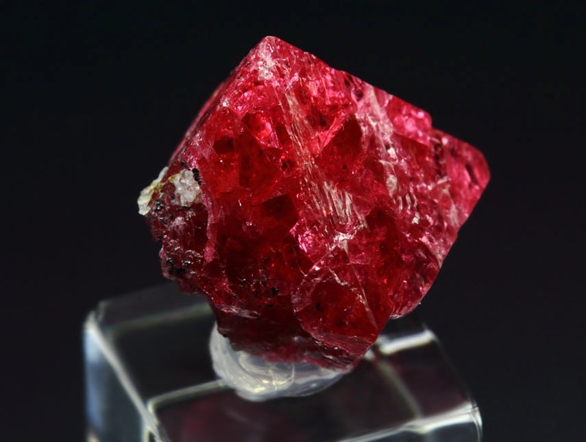 gemmy SPINEL