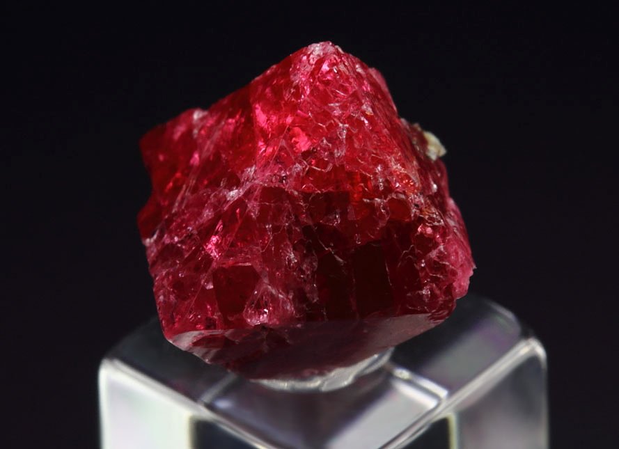 gemmy SPINEL