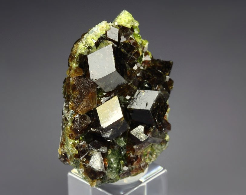 GARNET var. ANDRADITE, DIOPSIDE, EPIDOTE