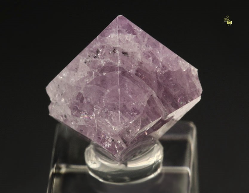 gemmy SPINEL