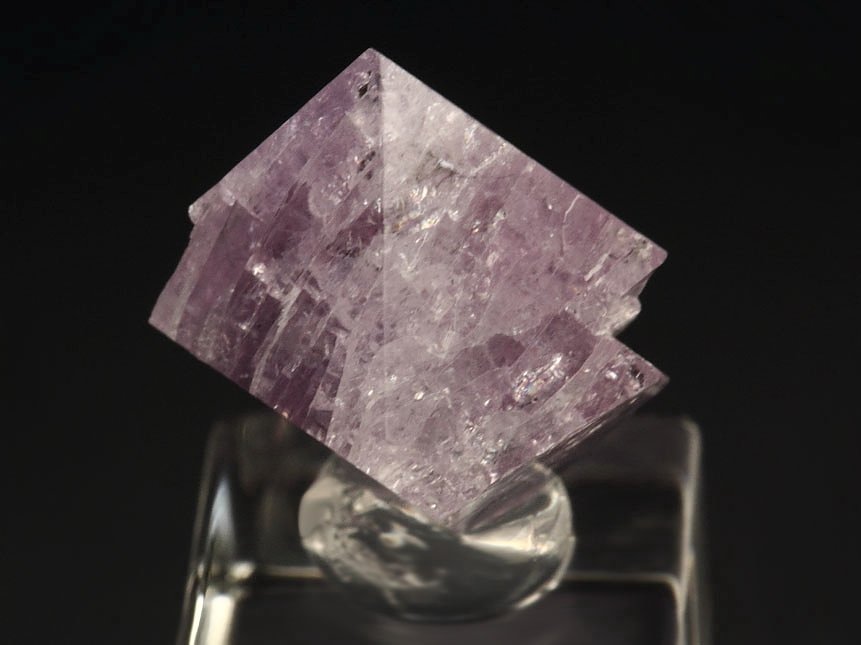 gemmy SPINEL