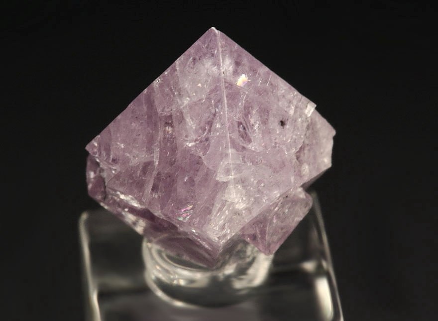 gemmy SPINEL