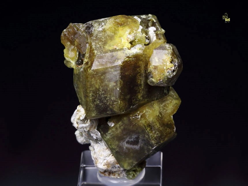 skeletal GARNET var. ANDRADITE, MUSCOVITE